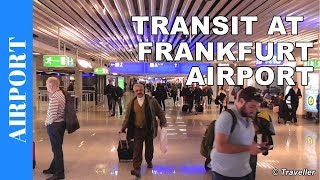 TRANSIT WALK AT FRANKFURT Airport FRA Terminal 1  Connection Flight Transfer Arriving amp Departing [upl. by Yeta]